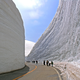 Illustration for article titled This Is How They Deal With Snowpocalypse In Japan